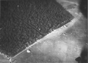 a black and white photo of an aerial view of a forest