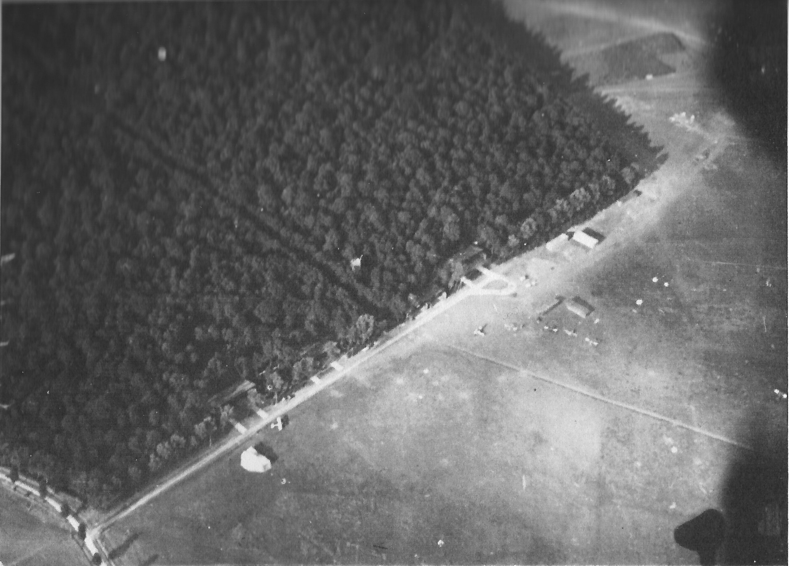 a black and white photo of an aerial view of a forest